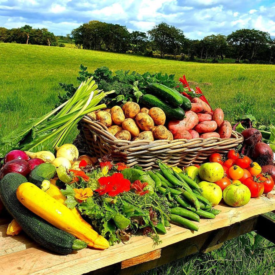 Straid  Ballylagan Organic Farm מראה חיצוני תמונה